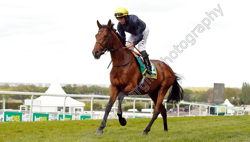 Crystal-Ocean-0001 
 CRYSTAL OCEAN (Ryan Moore) before winning The bet365 Gordon Richards Stakes
Sandown 26 Apr 2019 - Pic Steven Cargill / Racingfotos.com