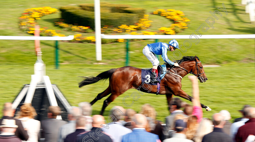 Fighting-Irish-0003 
 FIGHTING IRISH (Stevie Donohoe) wins The Parkdean Resorts Starland Krew Nursery Yarmouth 21 Sep 2017 - Pic Steven Cargill / Racingfotos.com