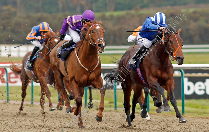 Rajaam-0003 
 RAJAAM (right, Sean Levey) beats KEY PLAYER (left) in The 32Red.com/EBF Novice Stakes Lingfield 21 Nov 2017 - Pic Steven Cargill / Racingfotos.com