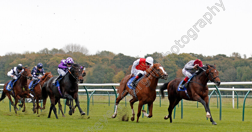 Msayyan-0003 
 MSAYYAN (Frankie Dettori) beats CORGI (left) and GHAZAN (centre) in The Kier Construction EBF Maiden Stakes Nottingham 18 Oct 2017 - Pic Steven Cargill / Racingfotos.com