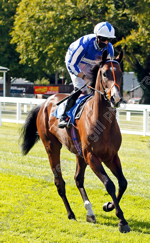 Dillydingdillydong-0001 
 DILLYDINGDILLYDONG (Jack Mitchell)
Salisbury 11 Jul 2020 - Pic Steven Cargill / Racingfotos.com