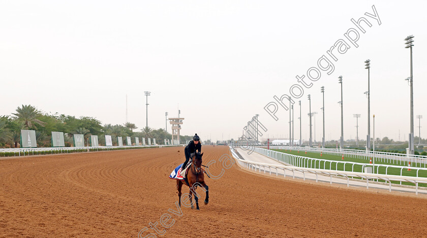 Enemy-0002 
 ENEMY training for The Red Sea Turf Handicap
King Abdulaziz Racetrack, Saudi Arabia 22 Feb 2024 - Pic Steven Cargill / Racingfotos.com