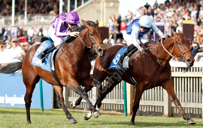 Persian-King-0007 
 PERSIAN KING (Pierre-Charles Boudot) beats MAGNA GRECIA (left) in The Masar Godolphin Autumn Stakes
Newmarket 13 Oct 2018 - Pic Steven Cargill / Racingfotos.com