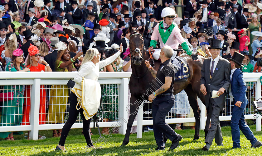 Khaadem-0008 
 KHAADEM (Oisin Murphy) winner of The Queen Elizabeth II Jubilee Stakes
Royal Ascot 22 Jun 2024 - Pic Steven Cargill / Racingfotos.com