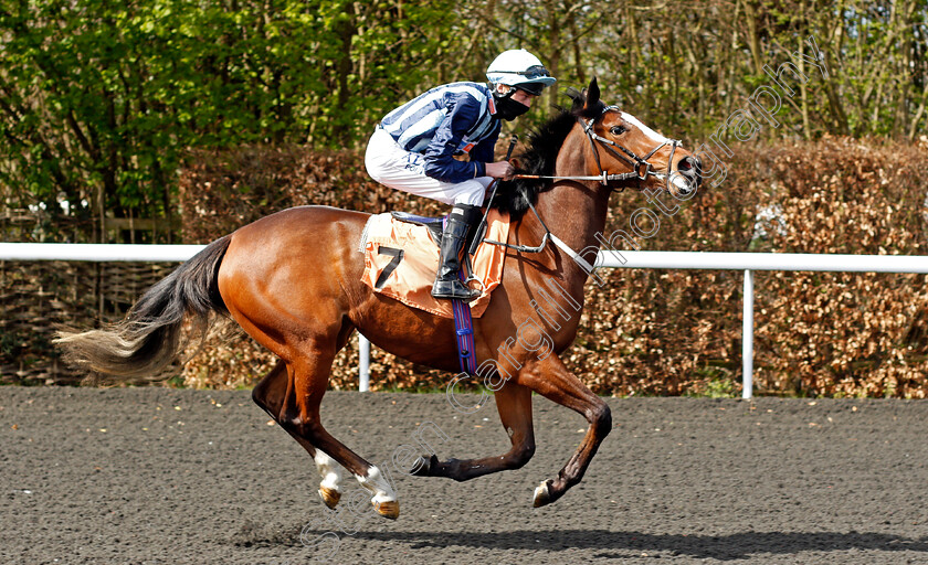 Mirique-0001 
 MIRIQUE (Luke Morris)
Kempton 5 Apr 2021 - Pic Steven Cargill / Racingfotos.com