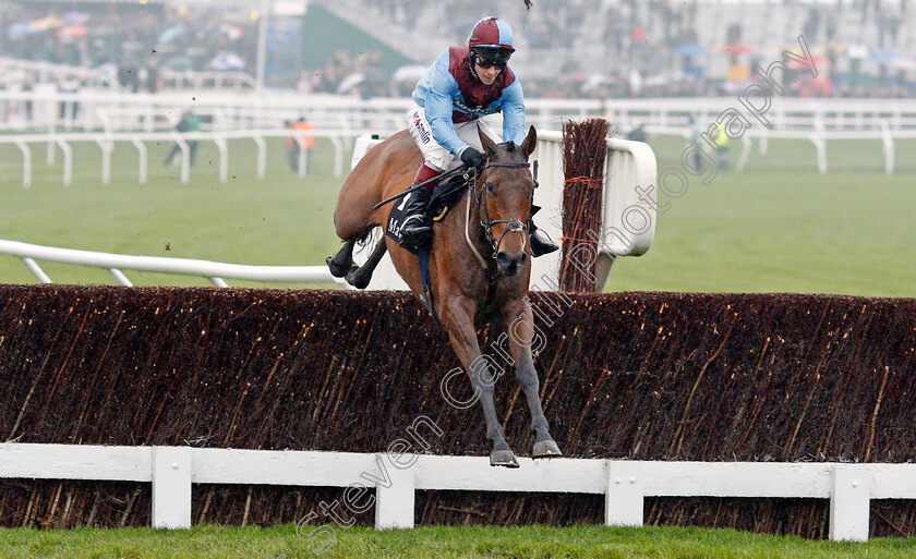 Ballyoptic-0004 
 BALLYOPTIC (Richard Johnson) Cheltenham 18 Nov 2017 - Pic Steven Cargill / Racingfotos.com