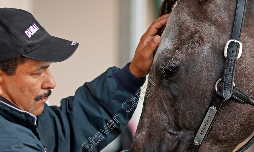 Arrogate-0017 
 ARROGATE after training for The Breeders' Cup Classic at Del Mar 2 Nov 2017 - Pic Steven Cargill / Racingfotos.com