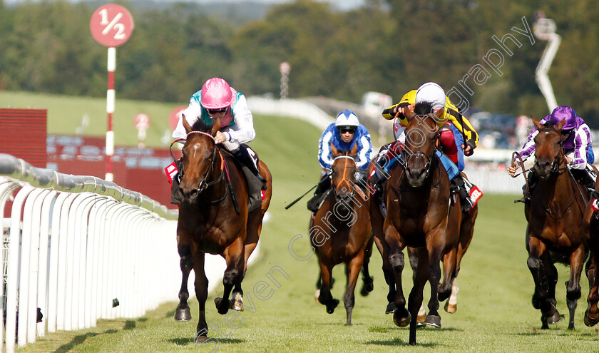 Vividly-0005 
 VIVIDLY (left, Kieran Shoemark) beats CRAYLANDS (right) in The Markel Insurance British EBF Maiden Fillies Stakes
Goodwood 1 Aug 2019 - Pic Steven Cargill / Racingfotos.com