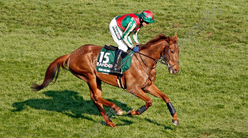 Vieux-Lion-Rouge-0001 
 VIEUX LION ROUGE (Tom Scudamore) Aintree 14 Apr 2018 - Pic Steven Cargill / Racingfotos.com