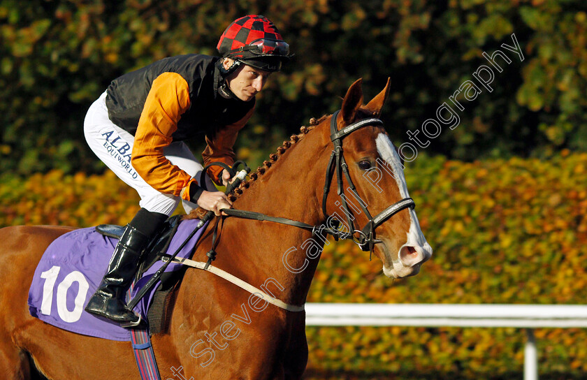 By-Pass 
 BY PASS (Luke Morris)
Kempton 10 Nov 2021 - Pic Steven Cargill / Racingfotos.com