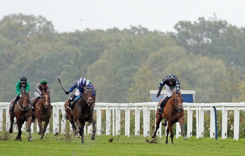 Tis-Marvellous-0003 
 TIS MARVELLOUS (Adam Kirby) beats MINZAAL (centre) in The Oakman Group Rous Stakes
Ascot 2 Oct 2021 - Pic Steven Cargill / Racingfotos.com