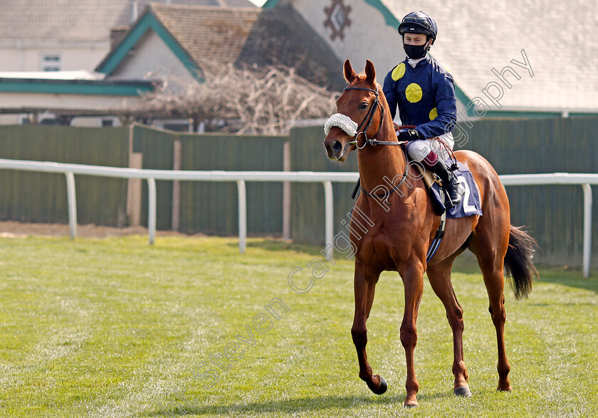 Robasta-0001 
 ROBASTA (Oisin Murphy)
Yarmouth 20 Apr 2021 - Pic Steven Cargill / Racingfotos.com