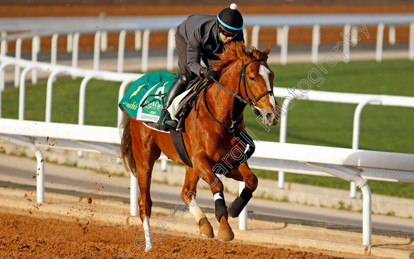 Derma-Sotogake-0005 
 DERMA SOTOGAKE training for The Saudi Cup
King Abdulaziz Racecourse, Saudi Arabia 20 Feb 2024 - Pic Steven Cargill / Racingfotos.com