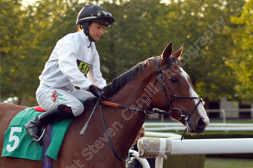 Duke-Of-Alba-0001 
 DUKE OF ALBA (Nicola Currie)
Kempton 29 Aug 2018 - Pic Steven Cargill / Racingfotos.com