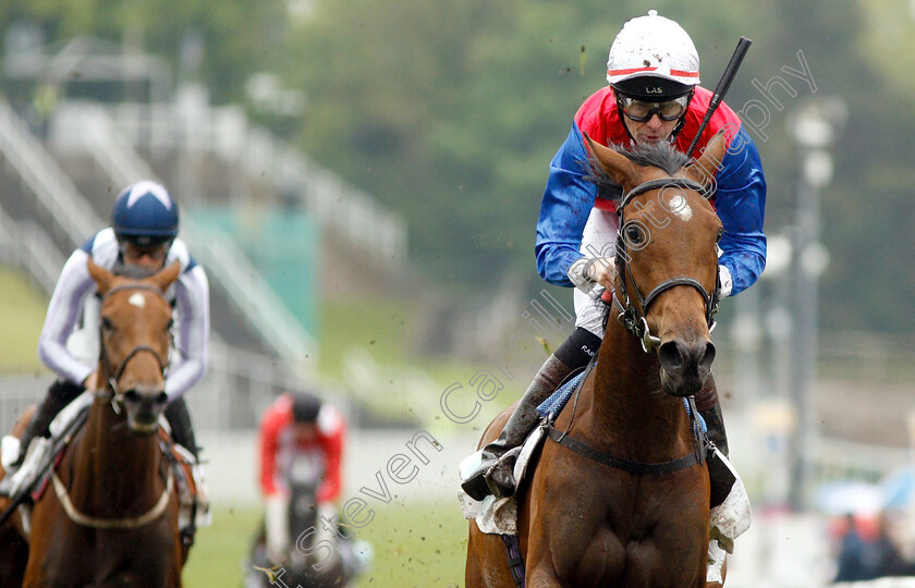 Mehdaayih-0005 
 MEHDAAYIH (Robert Havlin) wins The Arkle Finance Cheshire Oaks
Chester 8 May 2019 - Pic Steven Cargill / Racingfotos.com