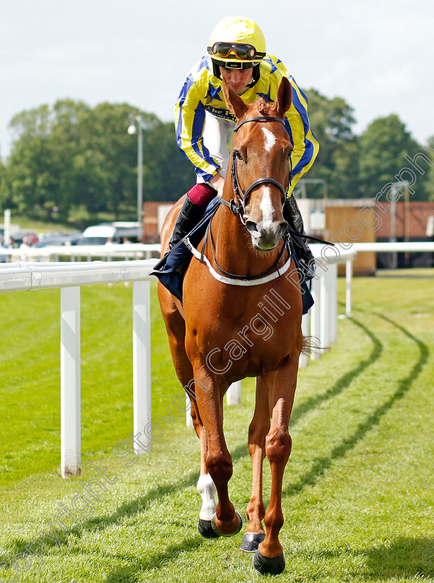 International-Girl-0001 
 INTERNATIONAL GIRL (Connor Murtagh)
York 10 Jun 2022 - Pic Steven Cargill / Racingfotos.com