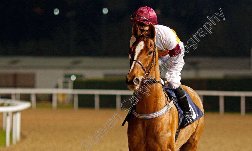 Al-Mikdam-0002 
 AL MIKDAM (Jack Garritty)
Wolverhampton 5 Dec 2020 - Pic Steven Cargill / Racingfotos.com