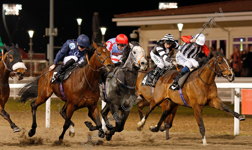 Rangali-Island-0004 
 RANGALI ISLAND (left, Callum Shepherd) beats GLENN COCO (centre) and MERCHANT OF VENICE (right) in The Bet totetrifecta At totesport.com Handicap
Chelmsford 11 Jan 2020 - Pic Steven Cargill / Racingfotos.com