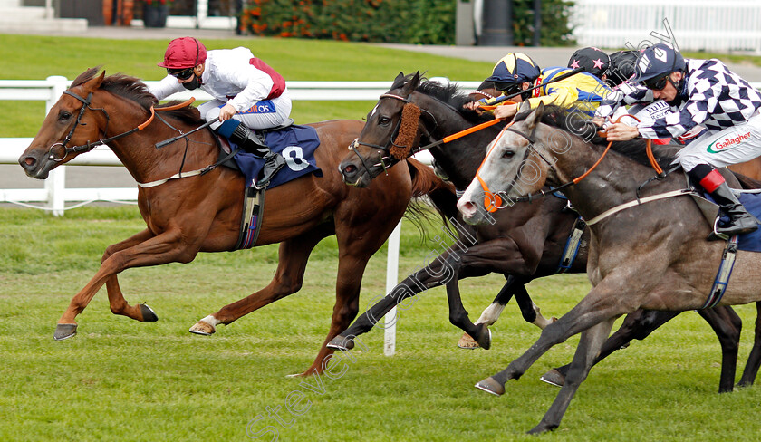 Aramis-Grey-0001 
 ARAMIS GREY (right, Shane Kelly) beats AL MANSOURA (left) in The Betway Casino Handicap
Lingfield 7 Sep 2020 - Pic Steven Cargill / Racingfotos.com