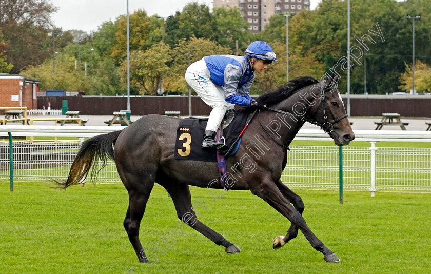 Cuban-Fiesta-0001 
 CUBAN FIESTA (Morgan Cole)
Nottingham 11 Oct 2023 - Pic Steven Cargill / Racingfotos.com