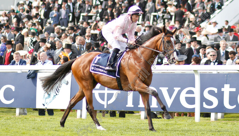 Anthony-Van-Dyck-0001 
 ANTHONY VAN DYCK (Seamie Heffernan) before winning The Investec Derby
Epsom 1 Jun 2019 - Pic Steven Cargill / Racingfotos.com