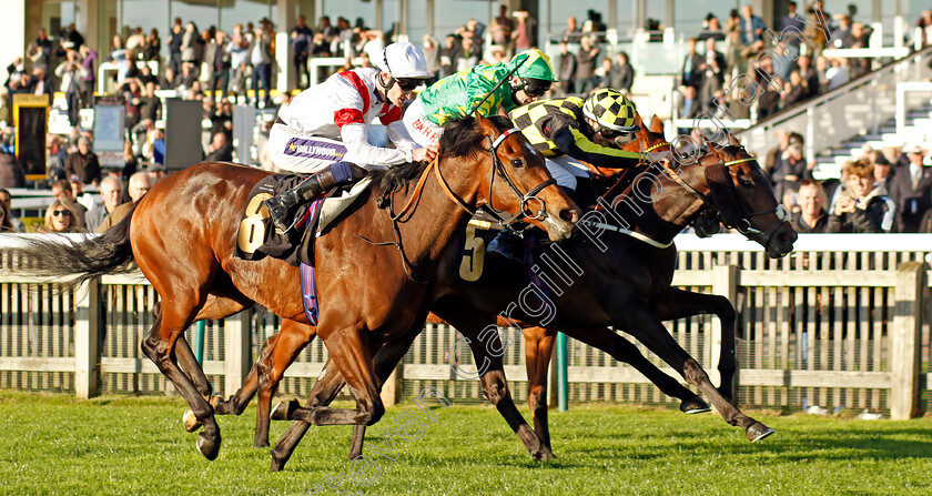 Malakahna-0001 
 MALAKAHNA (centre, Callum Hutchinson) beats NOVEL LEGEND (left) in The Hamish Kinmond 70th Birthday Handicap
Newmarket 28 Oct 2022 - Pic Steven Cargill / Racingfotos.com