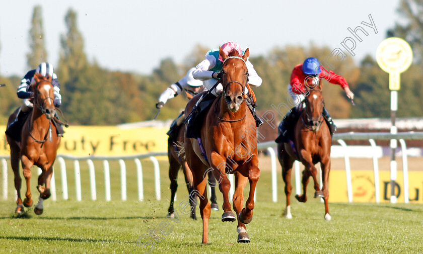 Quadrilateral-0006 
 QUADRILATERAL (Jason Watson) wins The Dubai Duty Free Full Of Surprises British EBF Fillies Conditions Stakes
Newbury 20 Sep 2019 - Pic Steven Cargill / Racingfotos.com