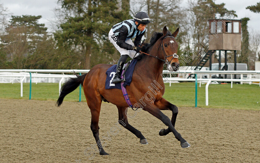 Fancy-Man-0001 
 FANCY MAN (Sean Levey) winner of The Betway Winter Derby Trial Stakes
Lingfield 5 Feb 2022 - Pic Steven Cargill / Racingfotos.com