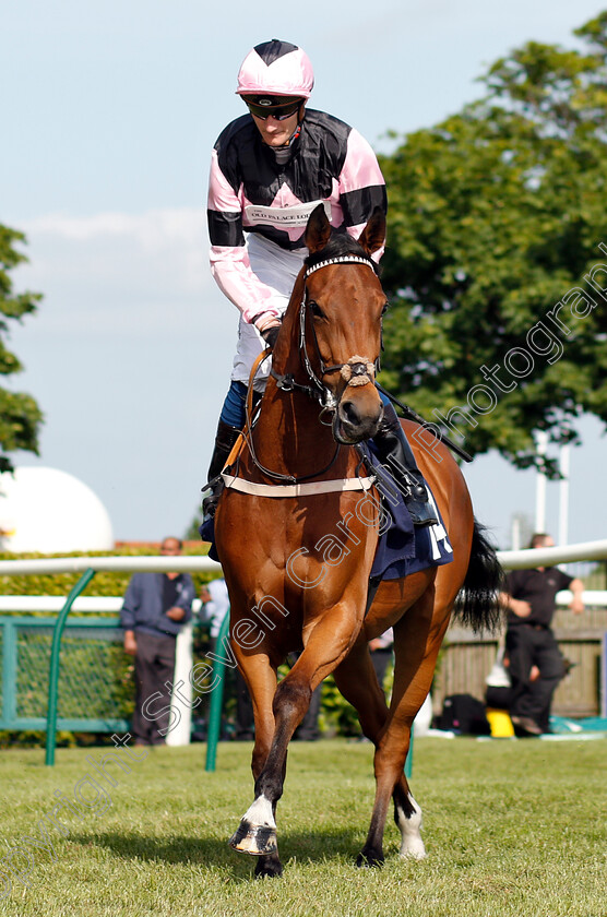 Overtrumped-0001 
 OVERTRUMPED (Daniel Muscutt)
Newmarket 18 May 2018 - Pic Steven Cargill / Racingfotos.com