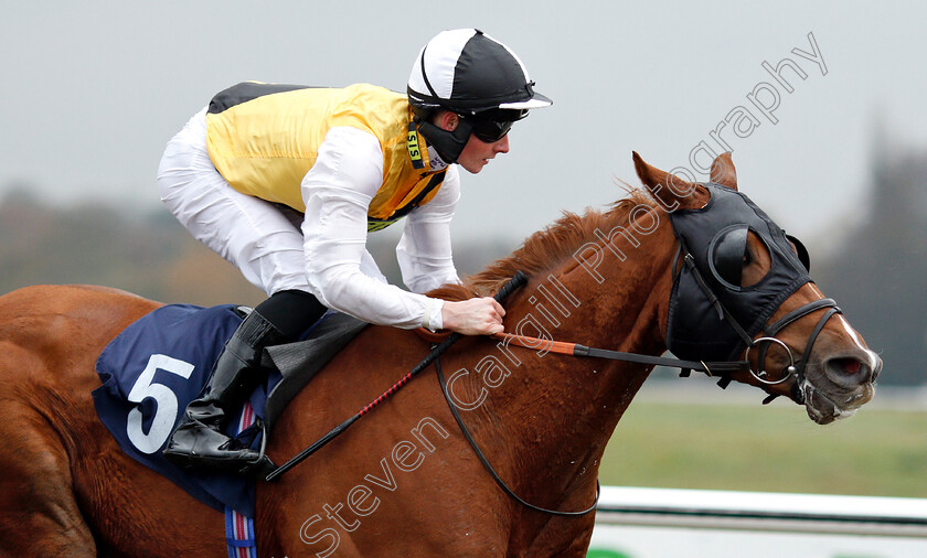 True-Destiny-0007 
 TRUE DESTINY (Adam McNamara) wins The Betway Stayers Handicap Div2
Lingfield 20 Nov 2018 - Pic Steven Cargill / Racingfotos.com