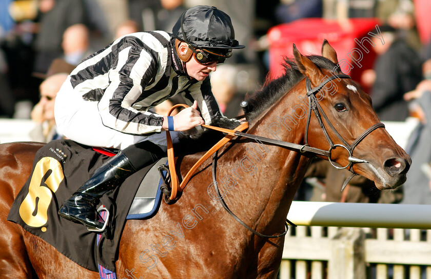 High-Fibre-0007 
 HIGH FIBRE (Rob Hornby) wins The 888sport What's Your Thinking Nursery
Newmarket 30 Oct 2021 - Pic Steven Cargill / Racingfotos.com