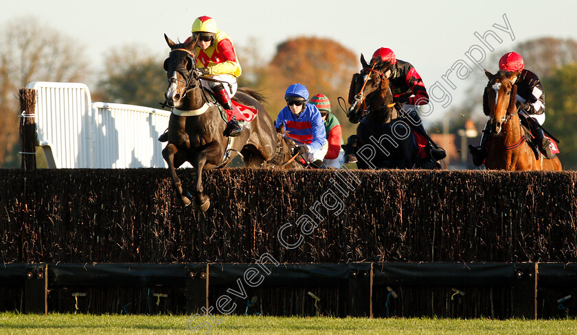 Strumble-Head-0001 
 STRUMBLE HEAD (Peter Bryan)
Kempton 21 Oct 2018 - Pic Steven Cargill / Racingfotos.com