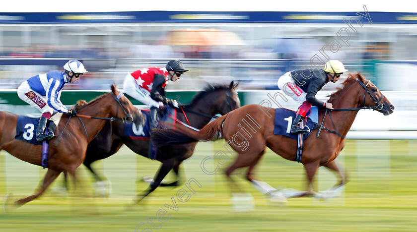 Stradivarius-0004 
 STRADIVARIUS (Frankie Dettori) wins The Magners Rose Doncaster Cup
Doncaster 13 Sep 2019 - Pic Steven Cargill / Racingfotos.com