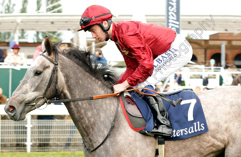 Lubinka-0001 
 LUBINKA (Oisin Murphy)
York 16 May 2018 - Pic Steven Cargill / Racingfotos.com