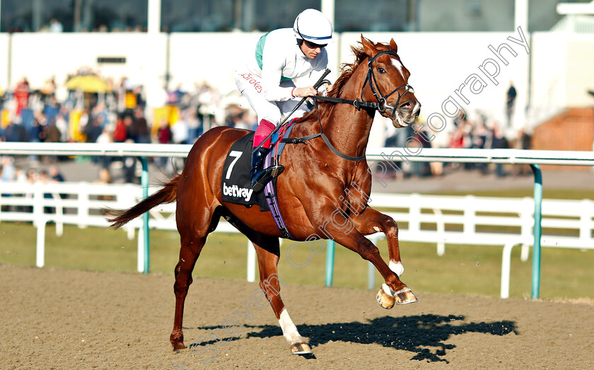 Wissahickon-0003 
 WISSAHICKON (Frankie Dettori) before winning The Betway Winter Derby Stakes
Lingfield 23 Feb 2019 - Pic Steven Cargill / Racingfotos.com