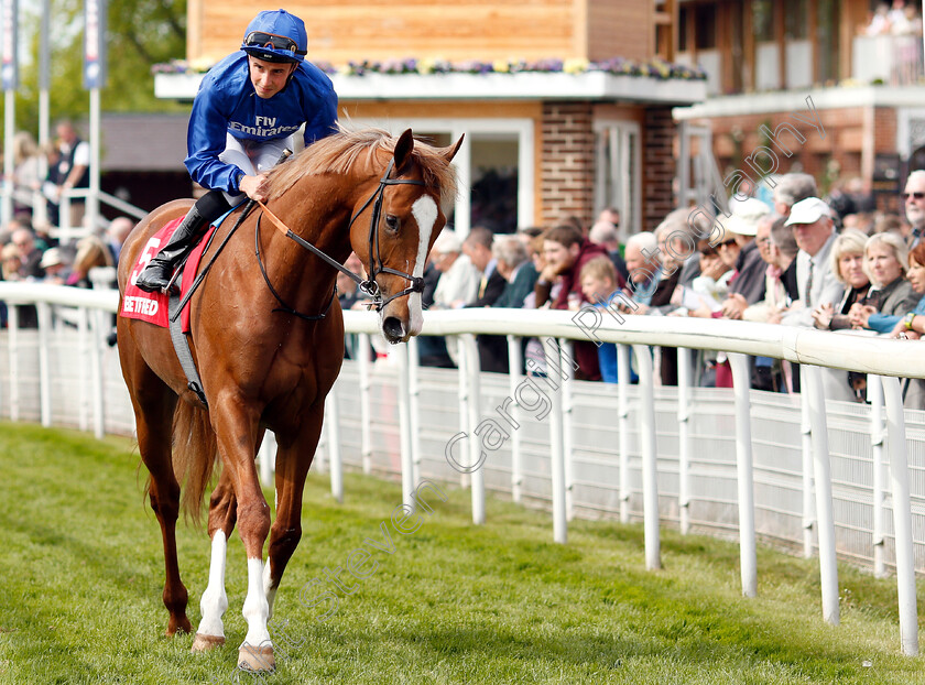 Nordic-Lights-0001 
 NORDIC LIGHTS (William Buick)
York 17 May 2018 - Pic Steven Cargill / Racingfotos.com