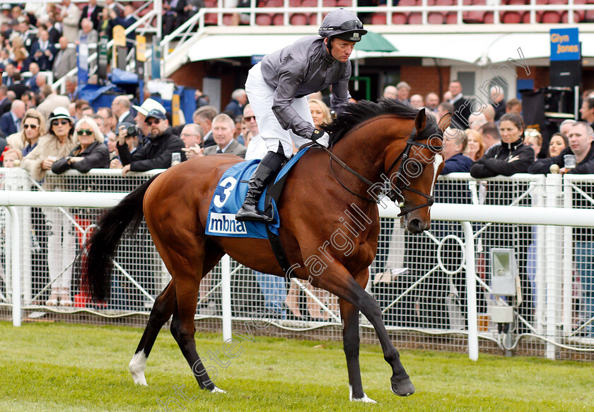 Flag-Of-Honour-0001 
 FLAG OF HONOUR (Seamie Heffernan) 
Chester 9 May 2018 - Pic Steven Cargill / Racingfotos.com