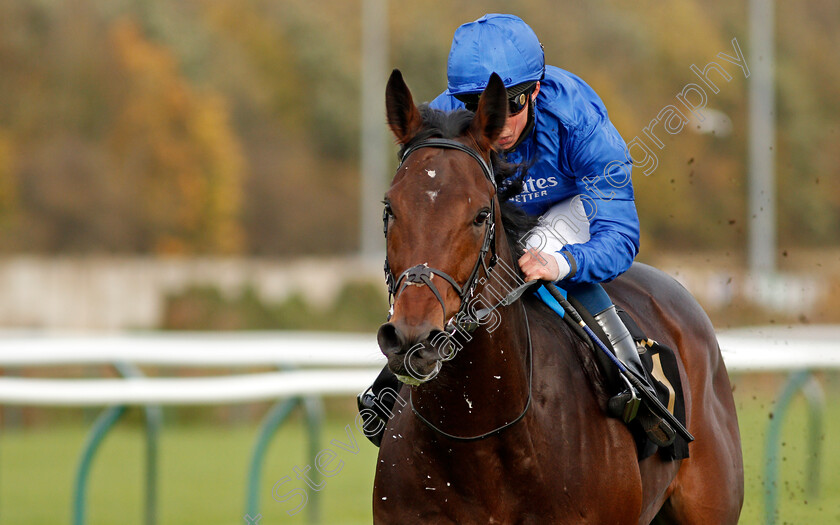 Adayar-0009 
 ADAYAR (William Buick) wins The EBF Stallions Golden Horn Maiden Stakes
Nottingham 28 Oct 2020 - Pic Steven Cargill / Racingfotos.com